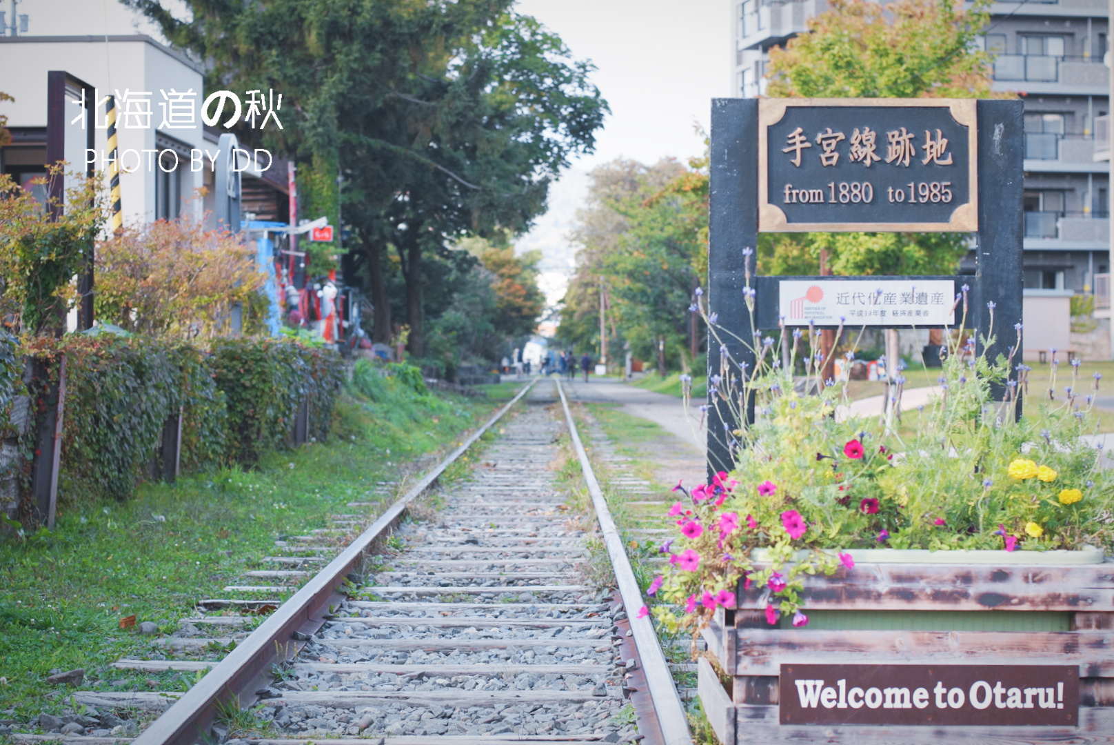 北海道自助遊攻略