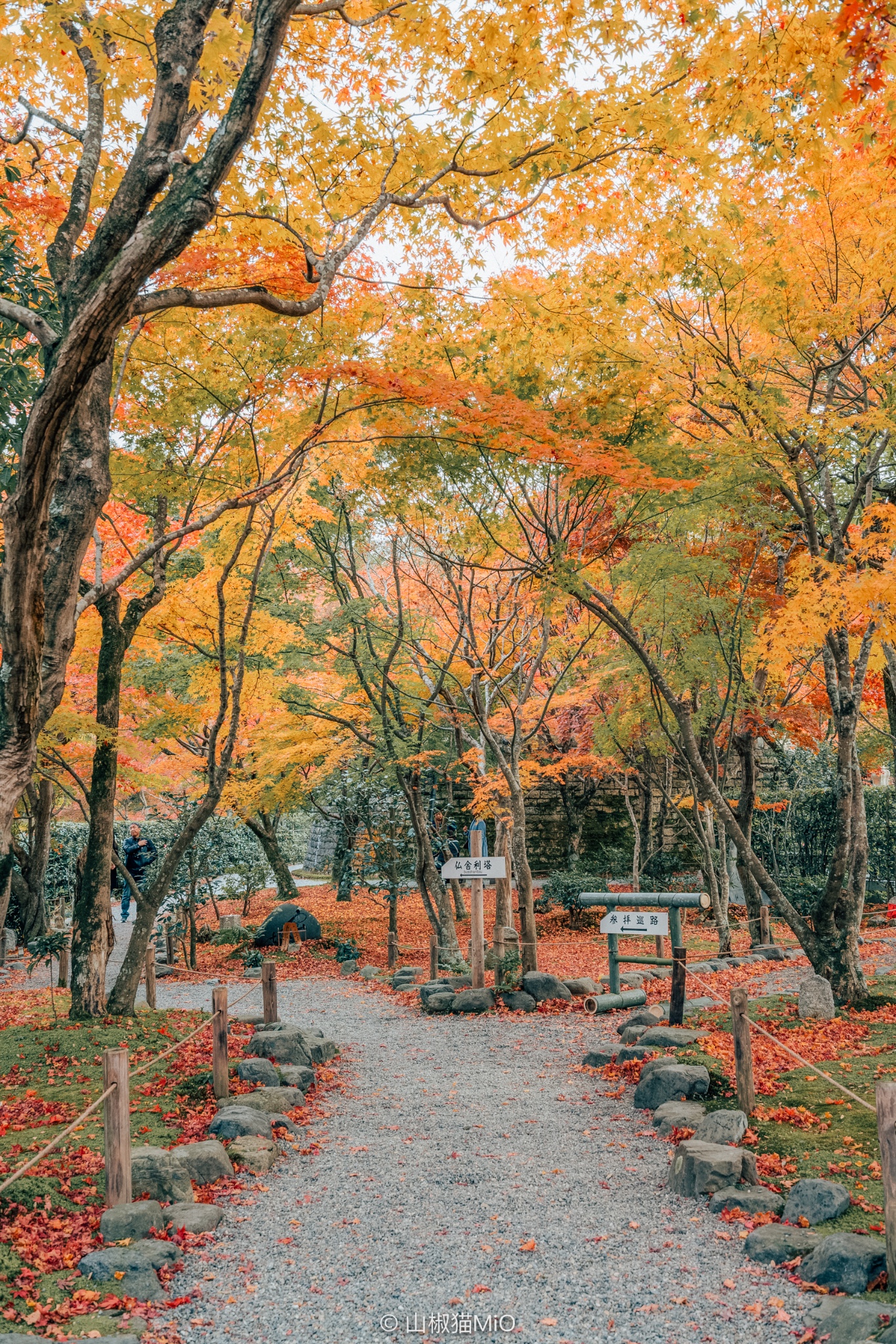 京都自助遊攻略