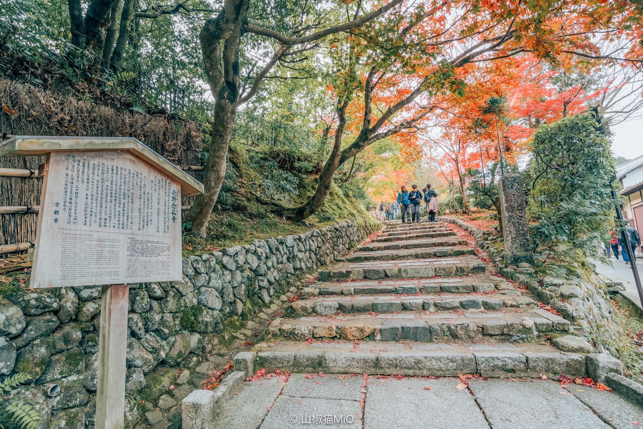 京都自助遊攻略