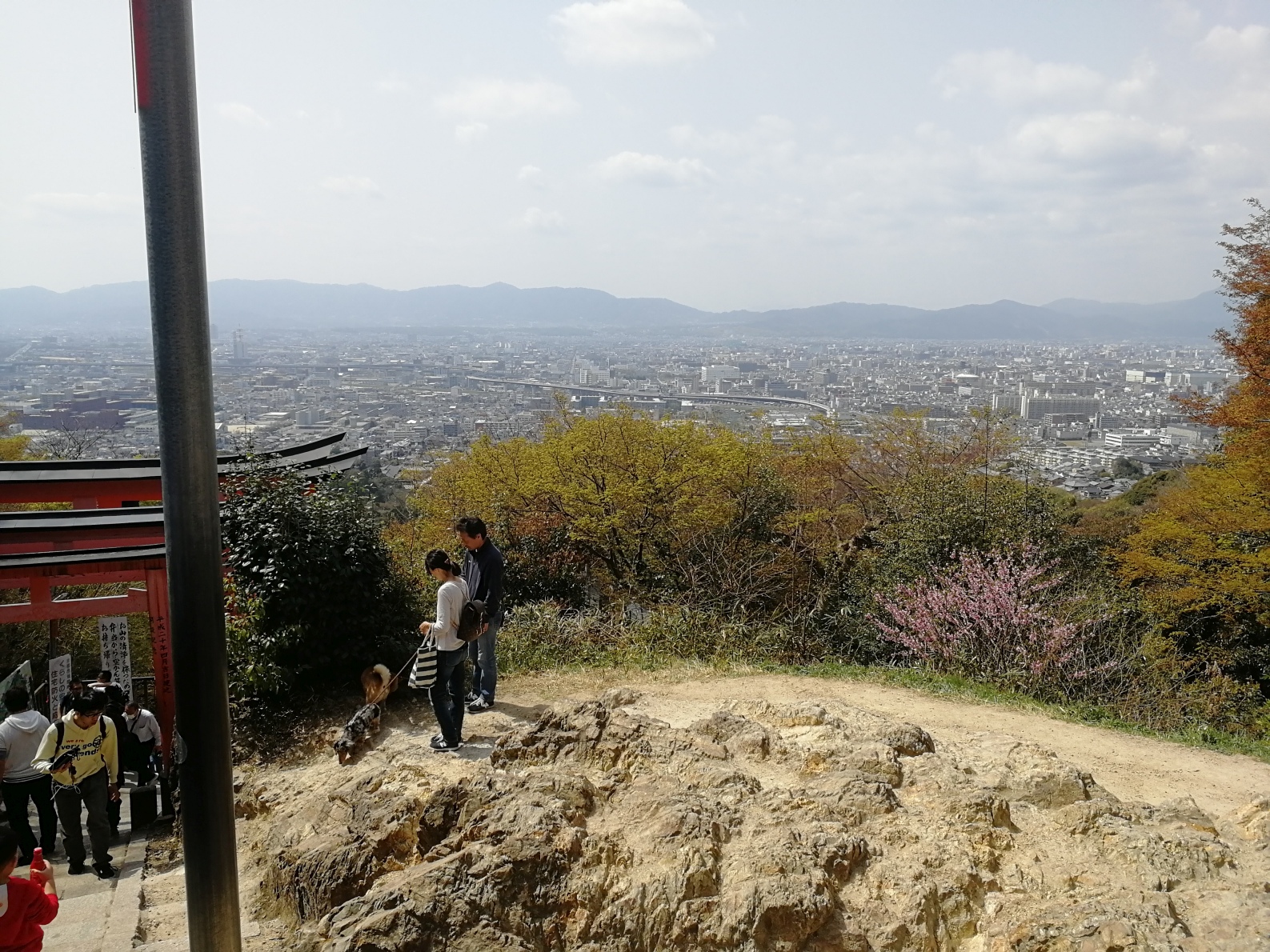 京都自助遊攻略