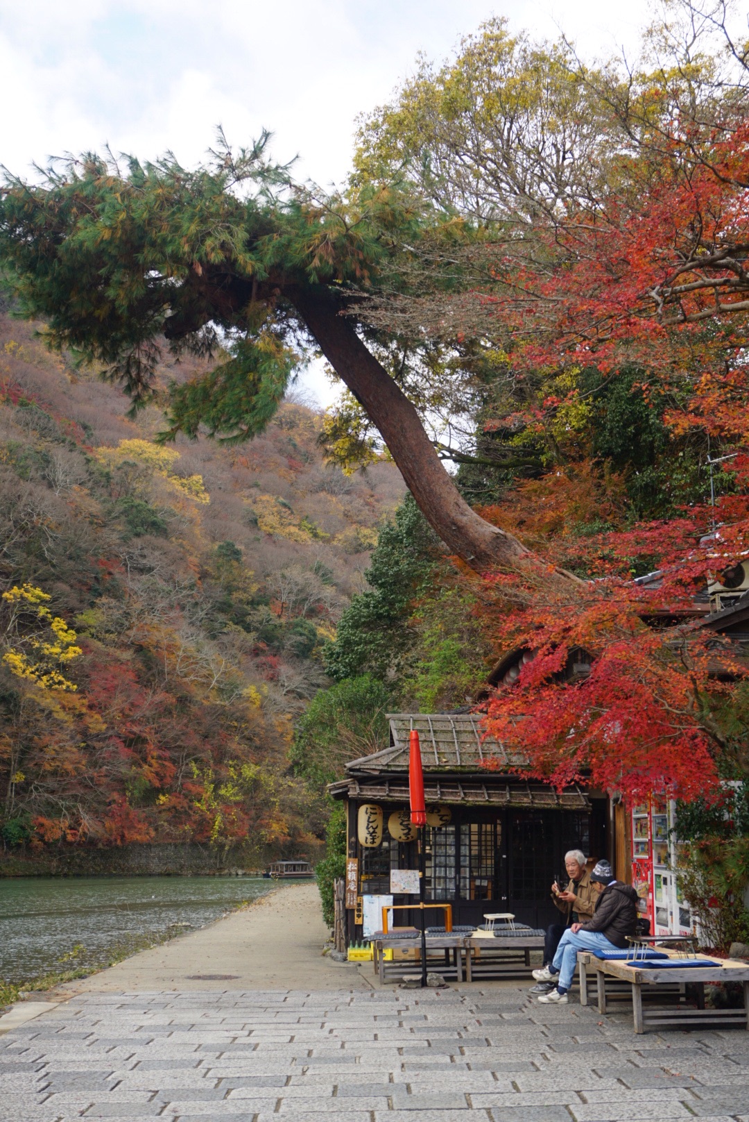 京都自助遊攻略