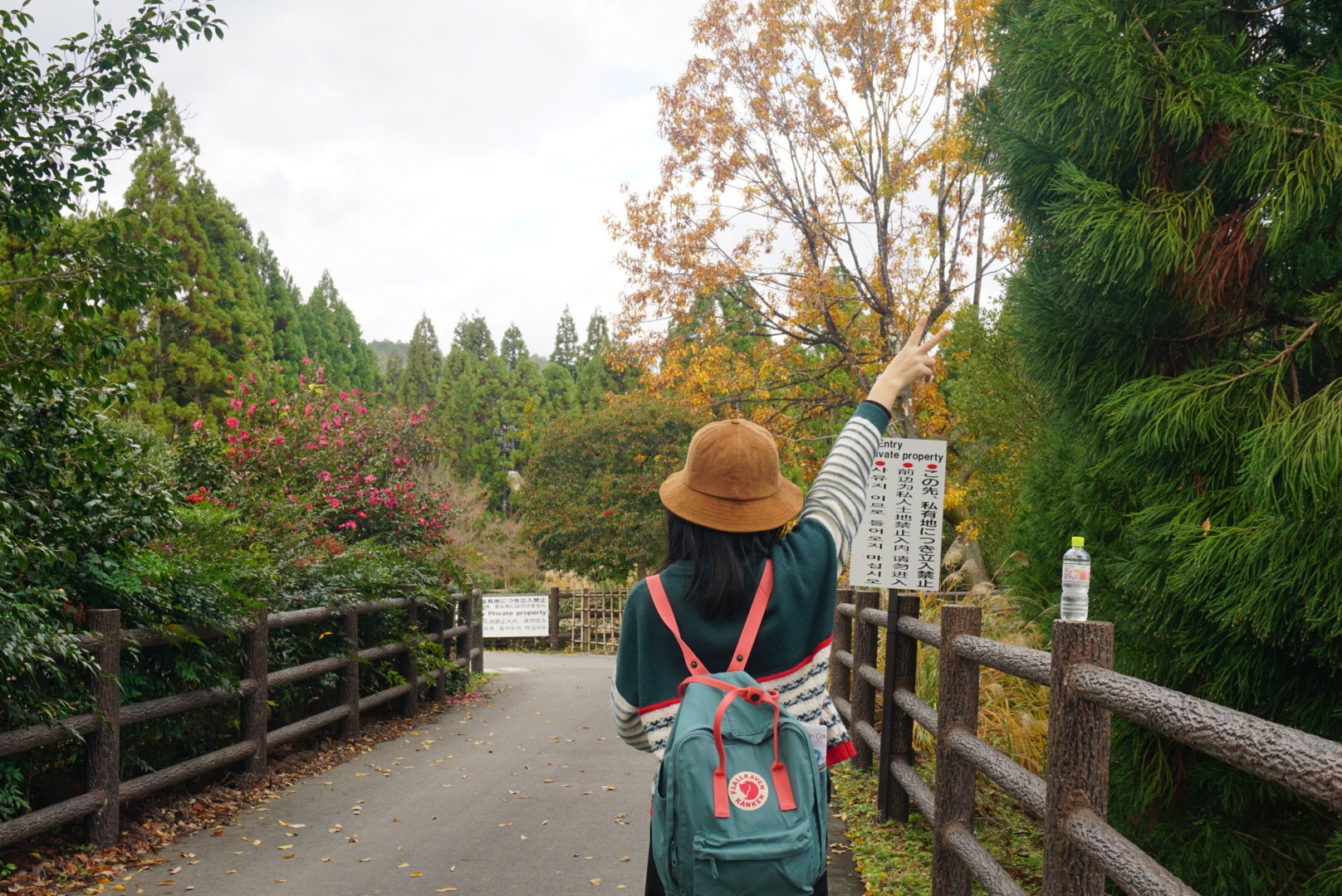 京都自助遊攻略