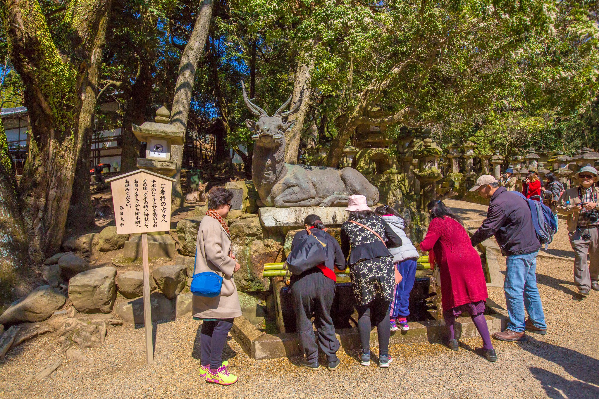 富士山自助遊攻略