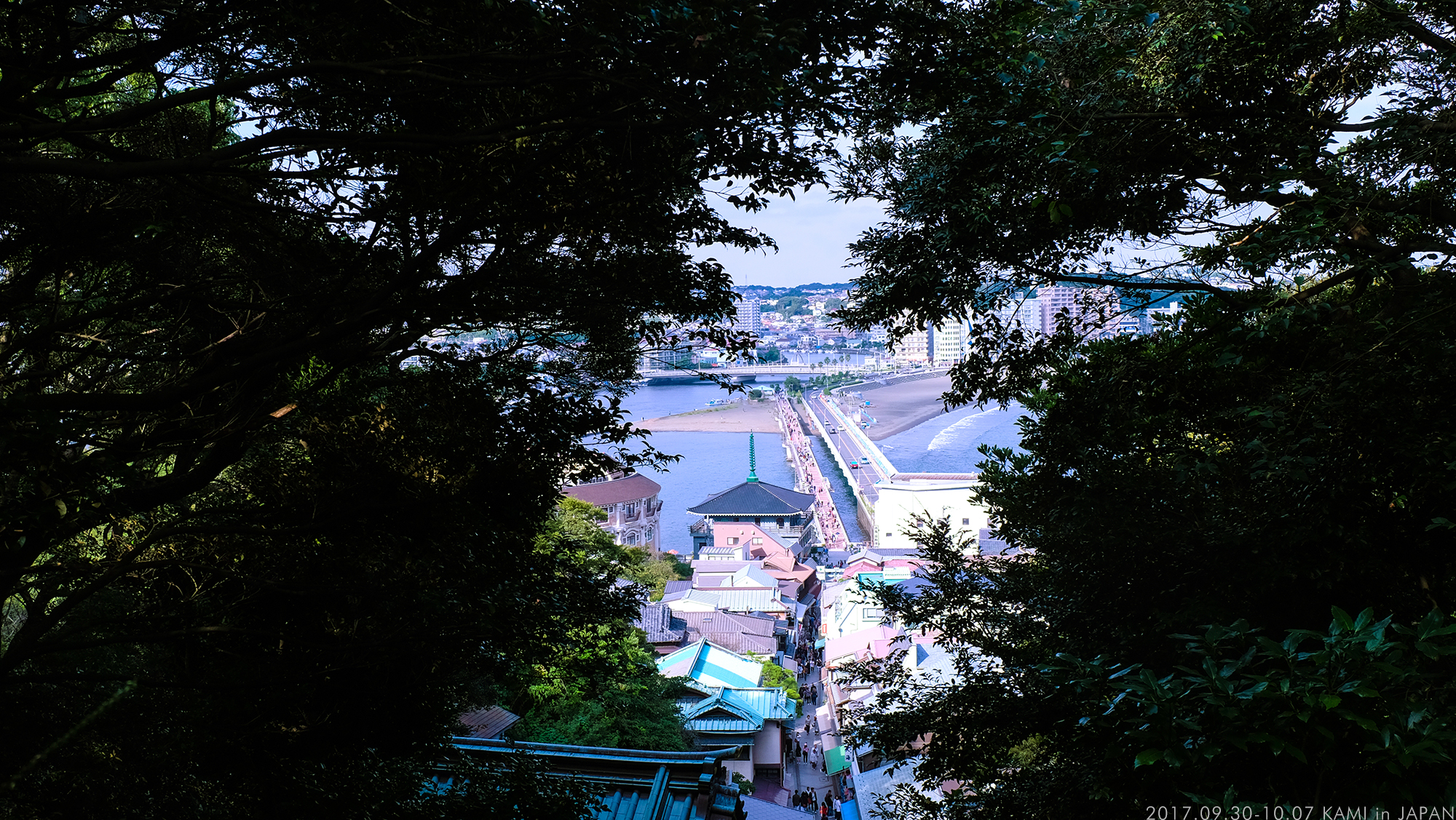 東京自助遊攻略