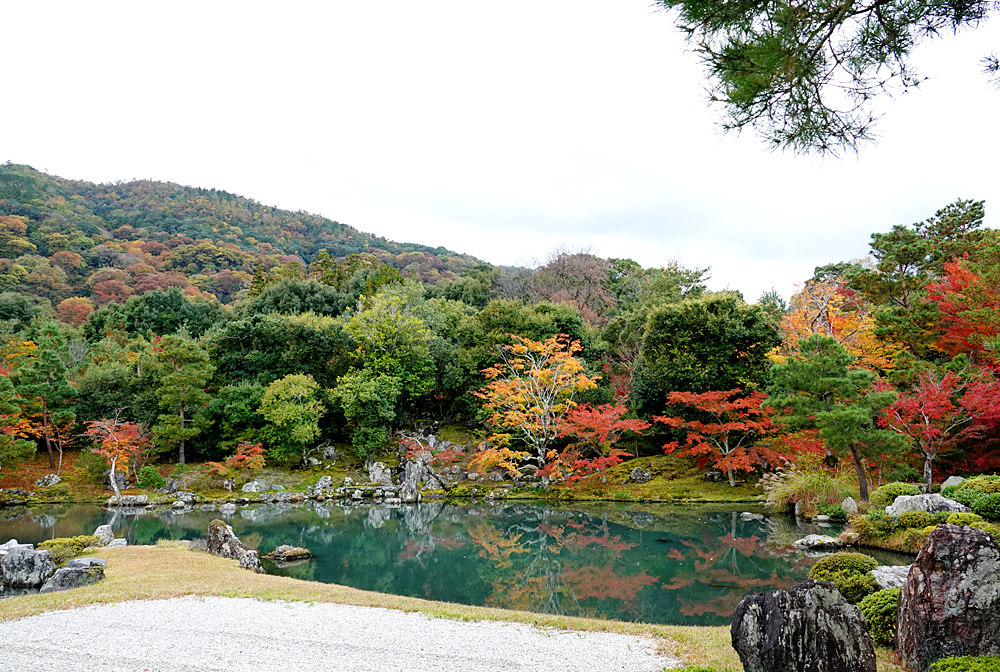 京都自助遊攻略