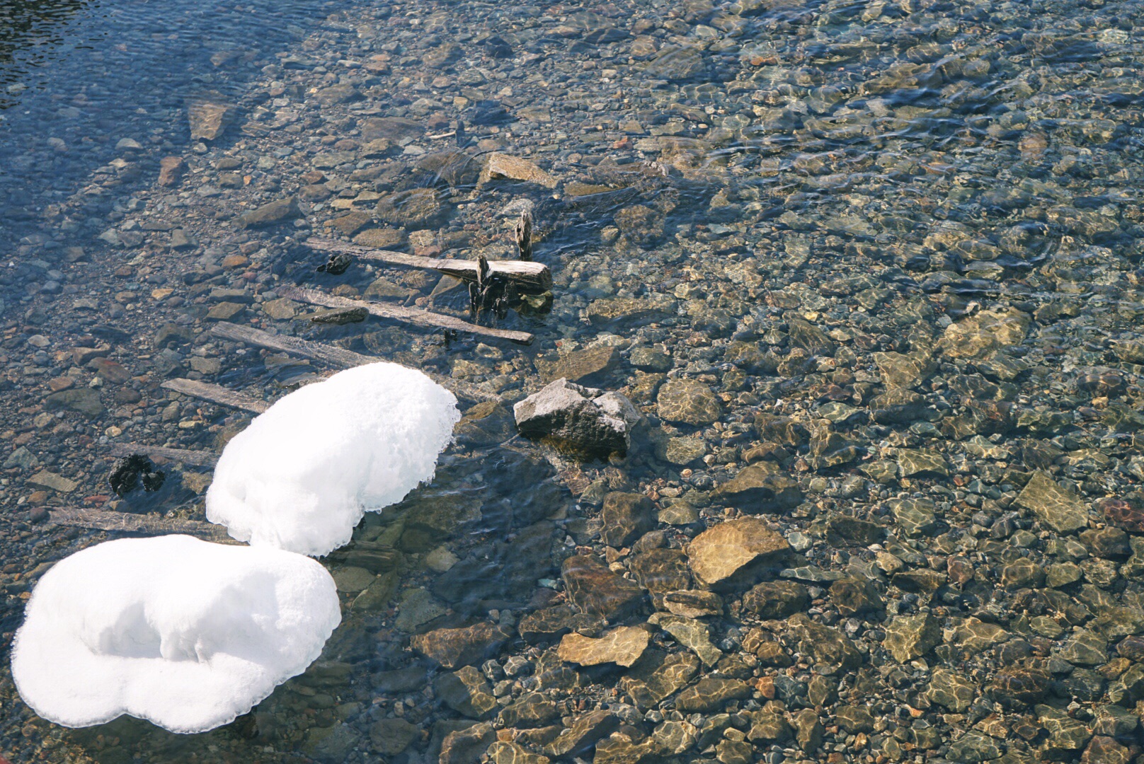 北海道自助遊攻略