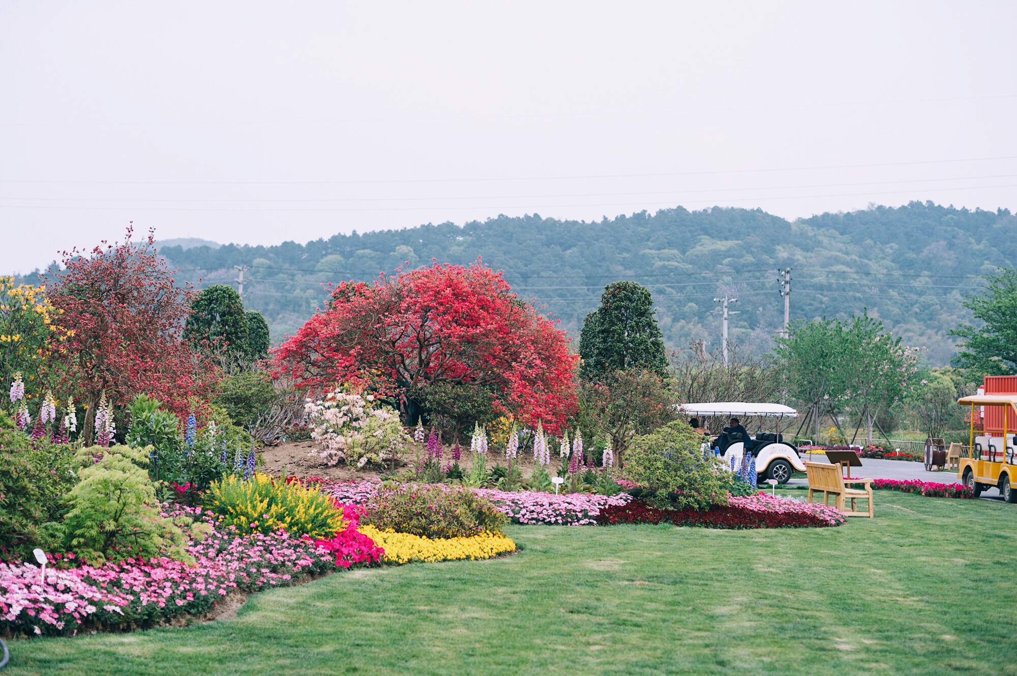 【途牛首发】无锡赏花新去处,带你看一场百花盛宴