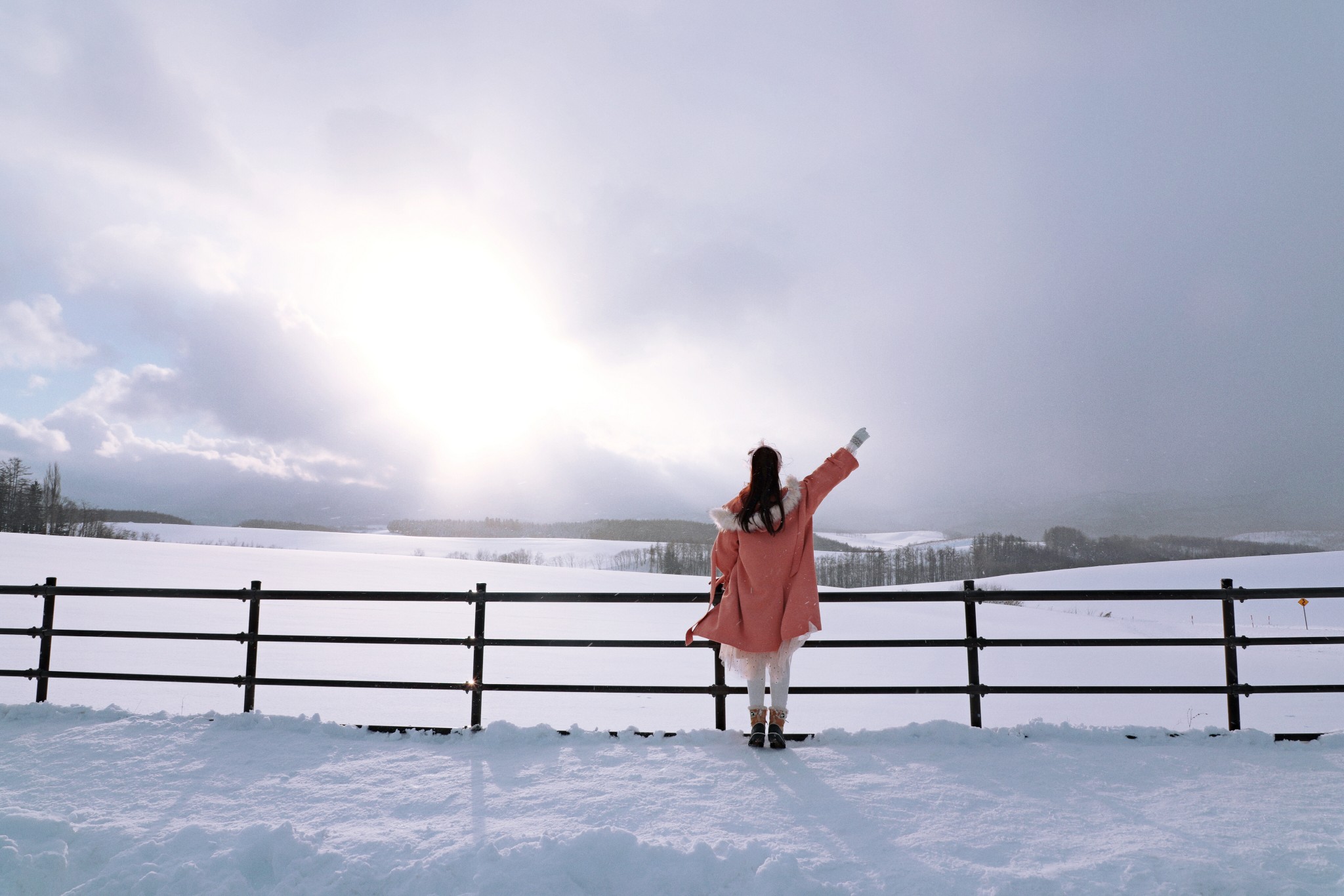 北海道自助遊攻略