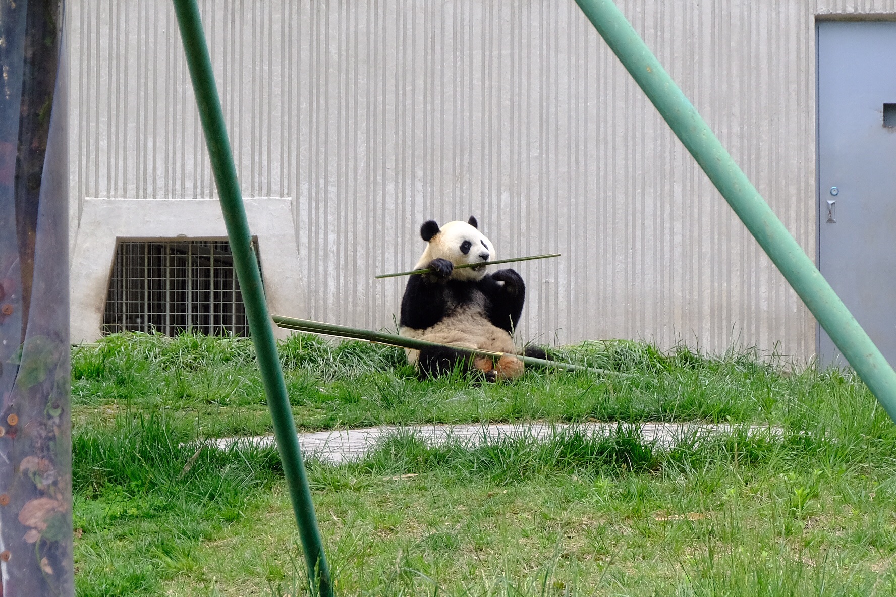 Wolong panda Reserve