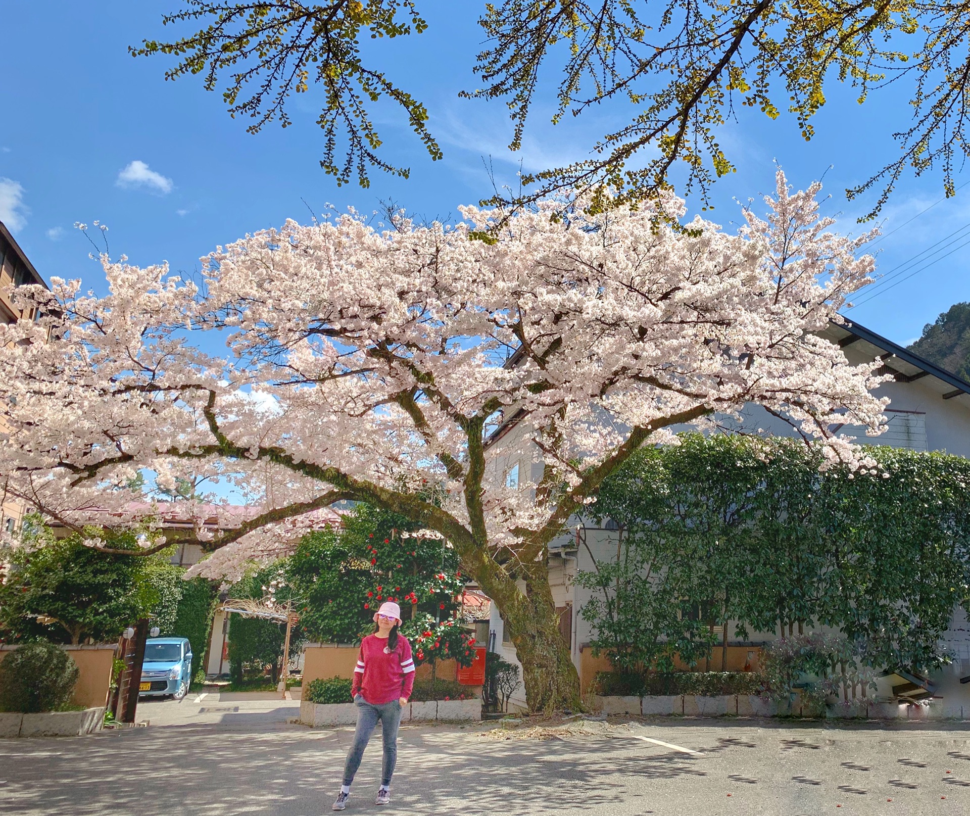 名古屋自助遊攻略