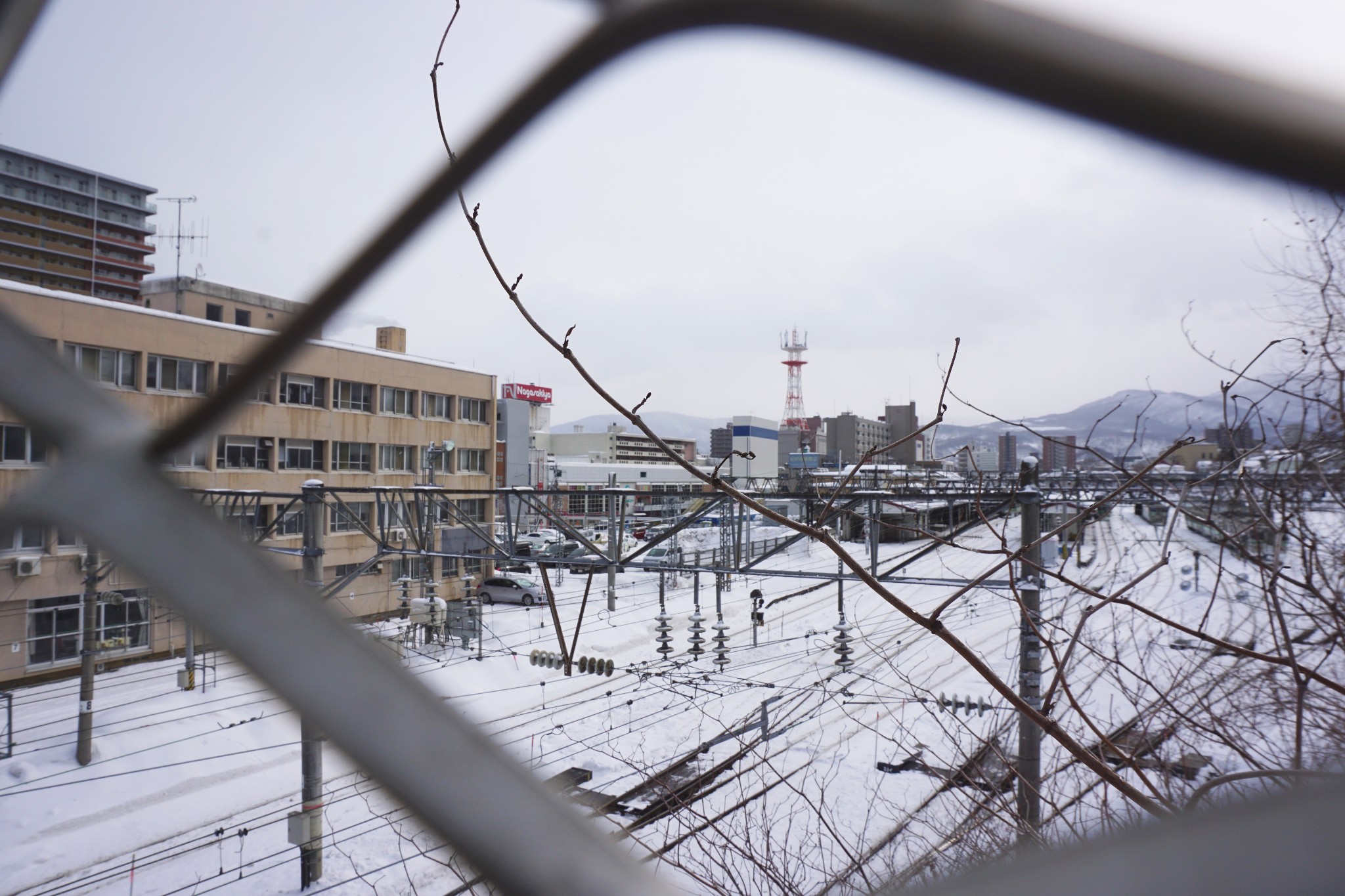 北海道自助遊攻略