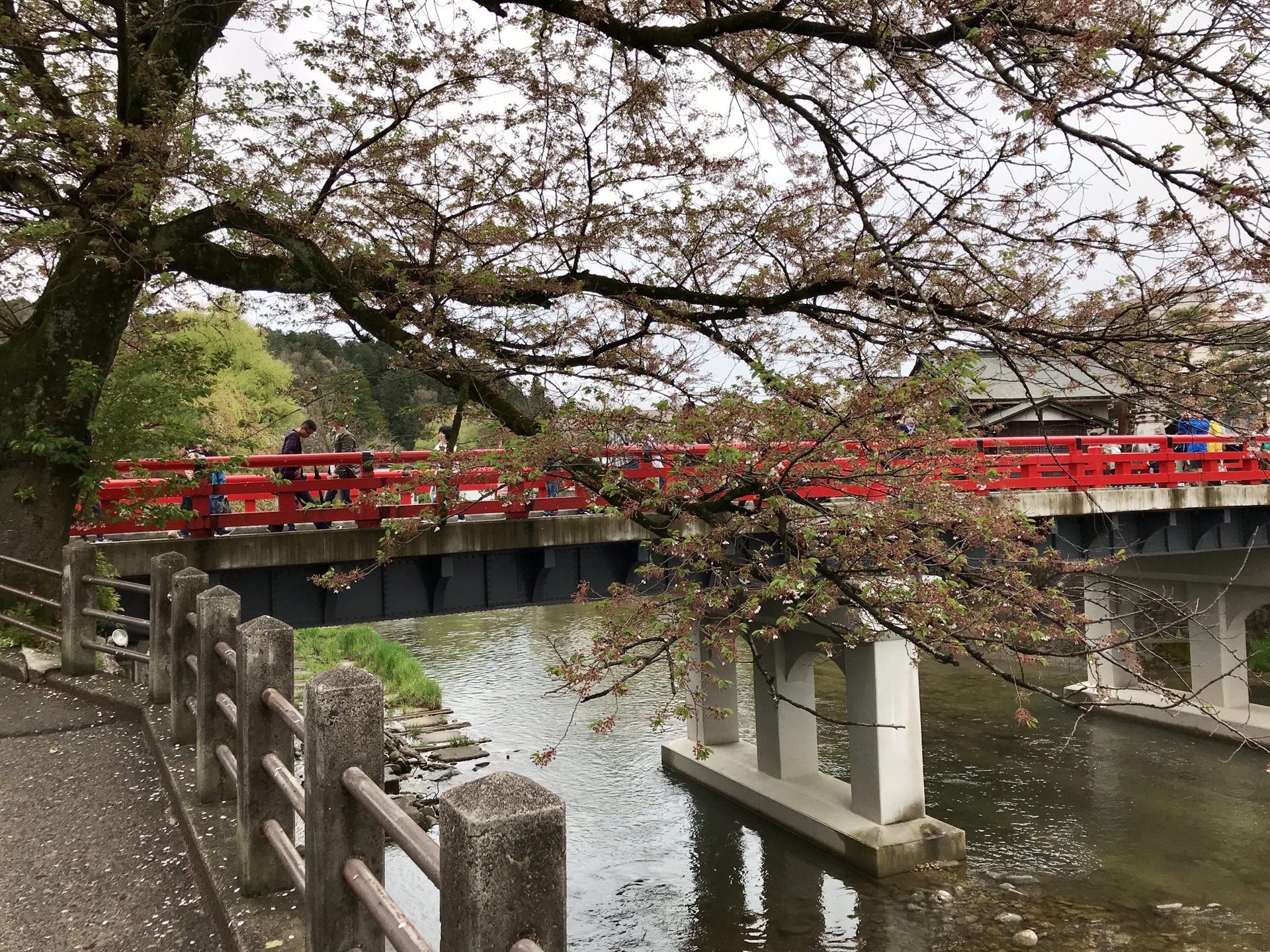 名古屋自助遊攻略