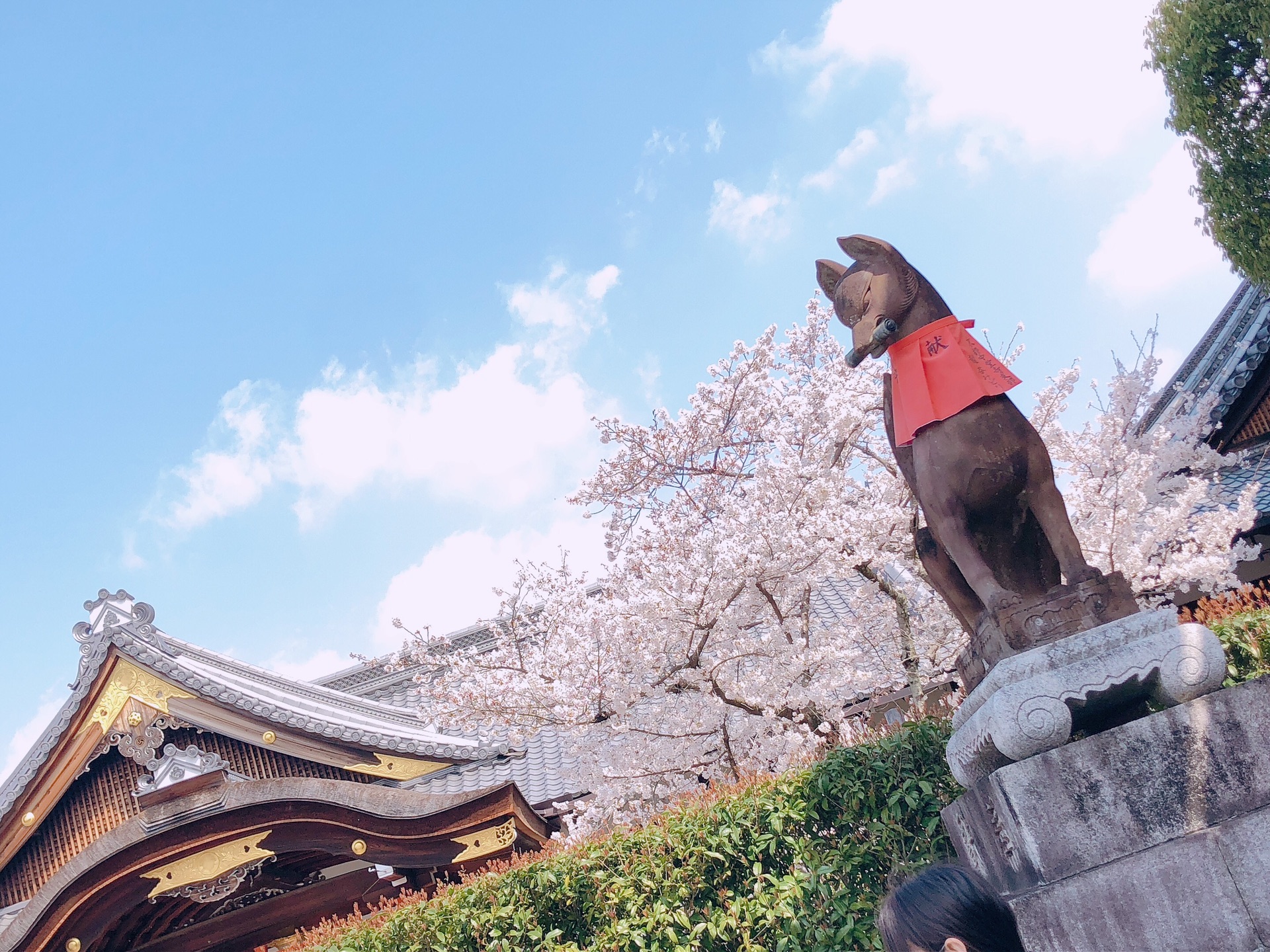 京都自助遊攻略