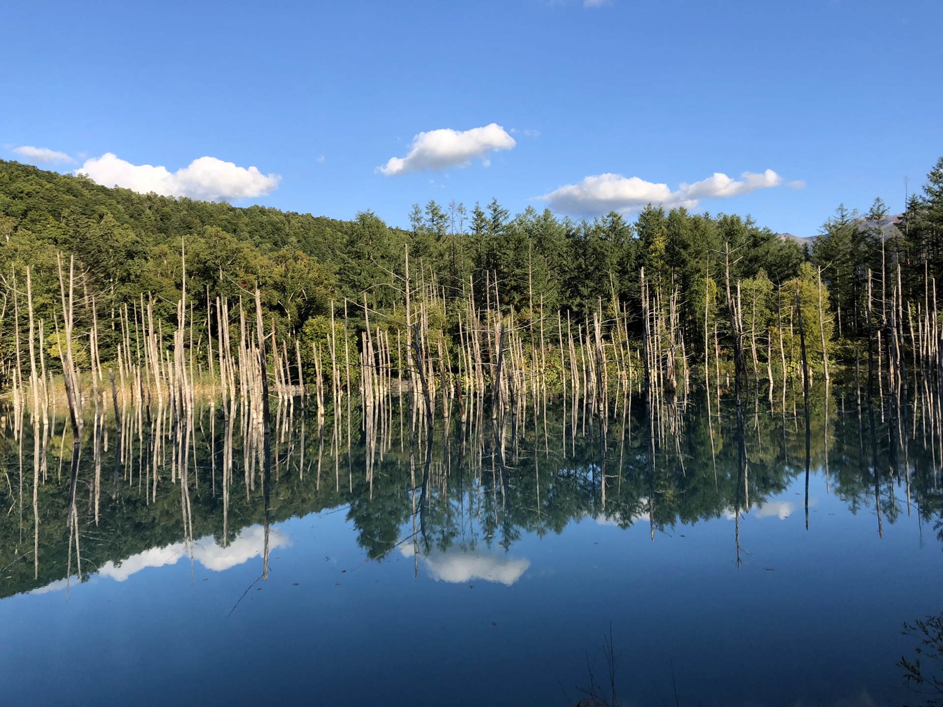 北海道自助遊攻略