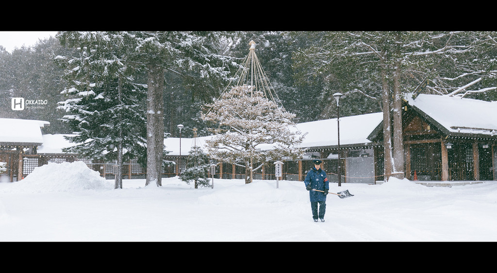 北海道自助遊攻略