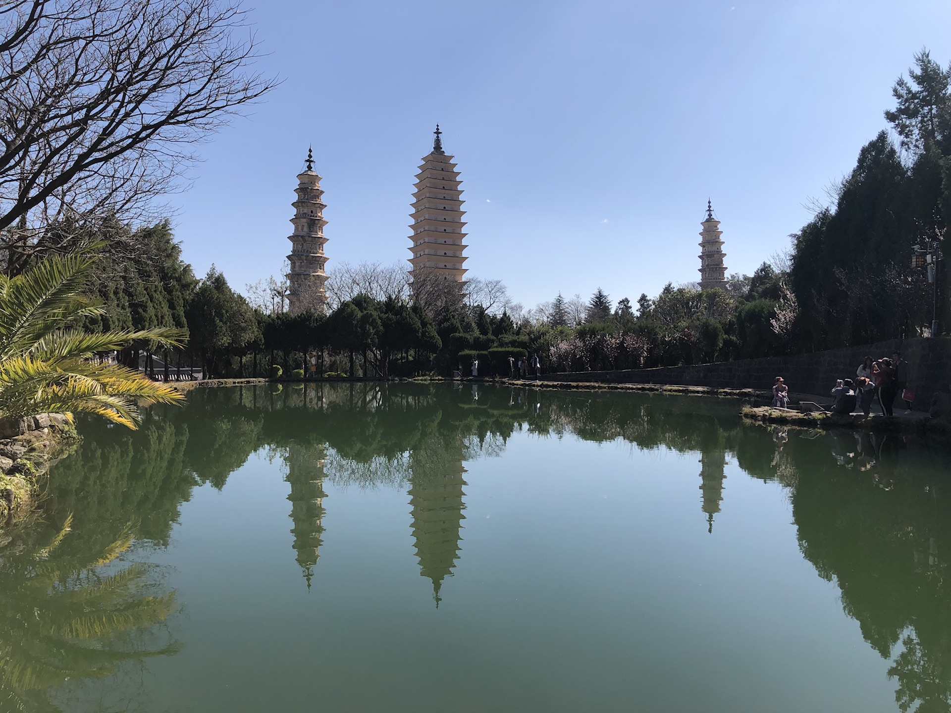 云南有多少人口2019_云南广南县人口多少(3)