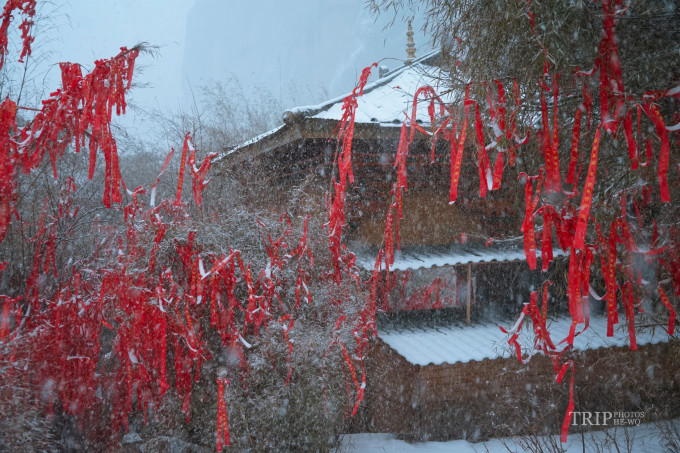 心中有一片净土 wKgEaVyLoo6AKMfAAA_qM9-3GYE16.jpeg?imageView2%2F2%2Fw%2F680%2Fq%2F90%7CimageMogr2%2Fstrip%2Fquality%2F90