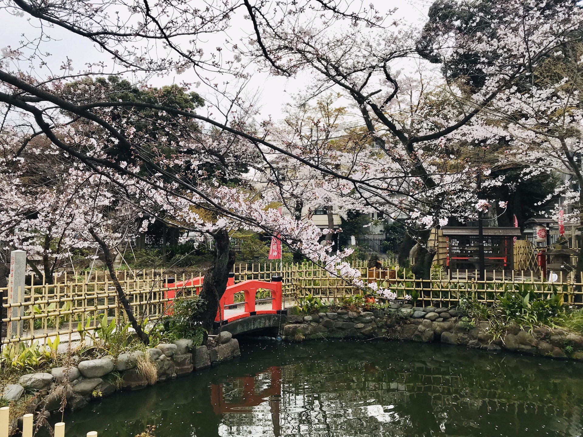 東京自助遊攻略