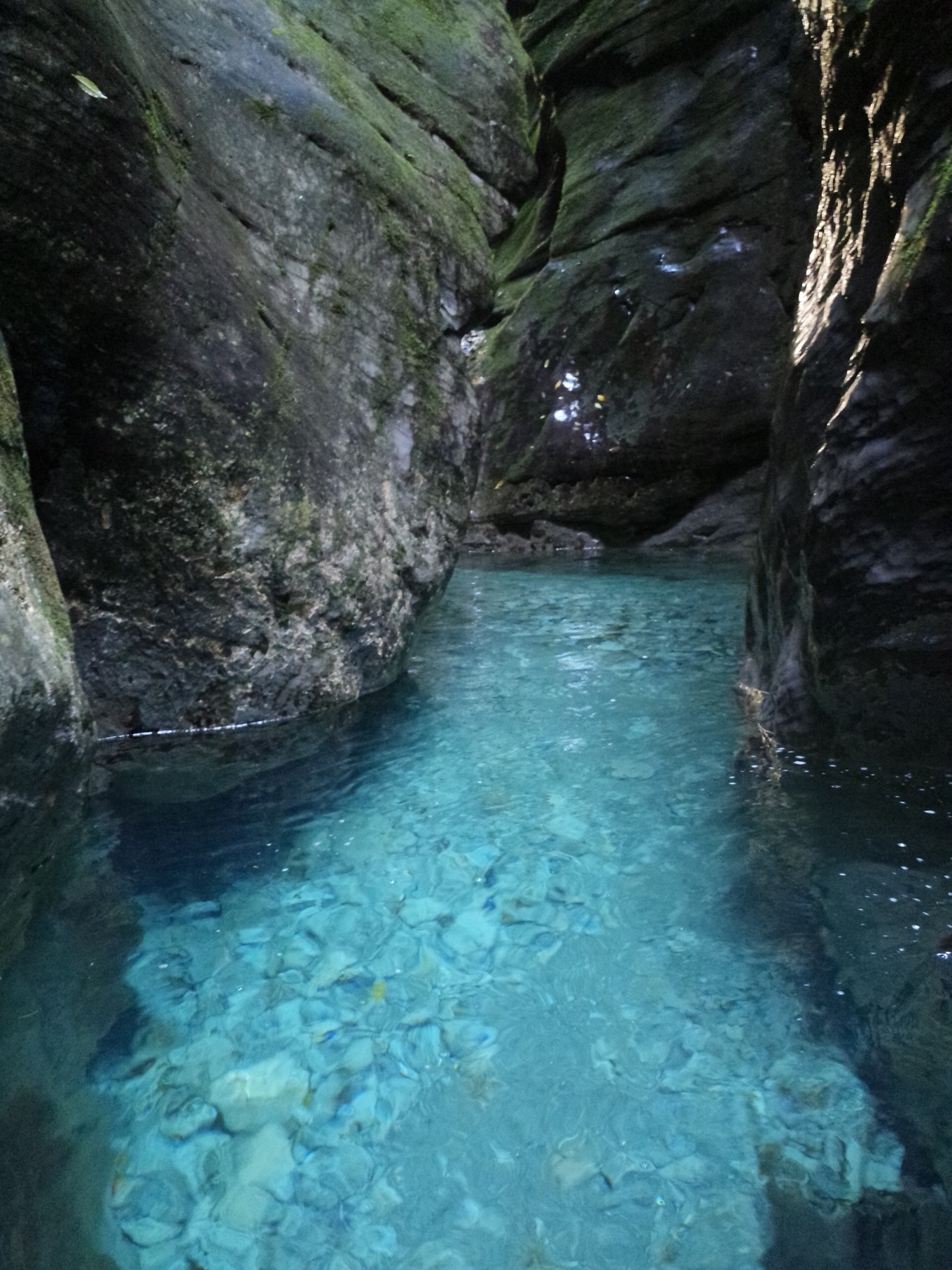 wKgEaVyTb2iAVF_NAAe8GmijJCc47.jpeg?imageView2%2F2%2Fw%2F680%2Fq%2F90%7CimageMogr2%2Fstrip%2Fquality%2F90