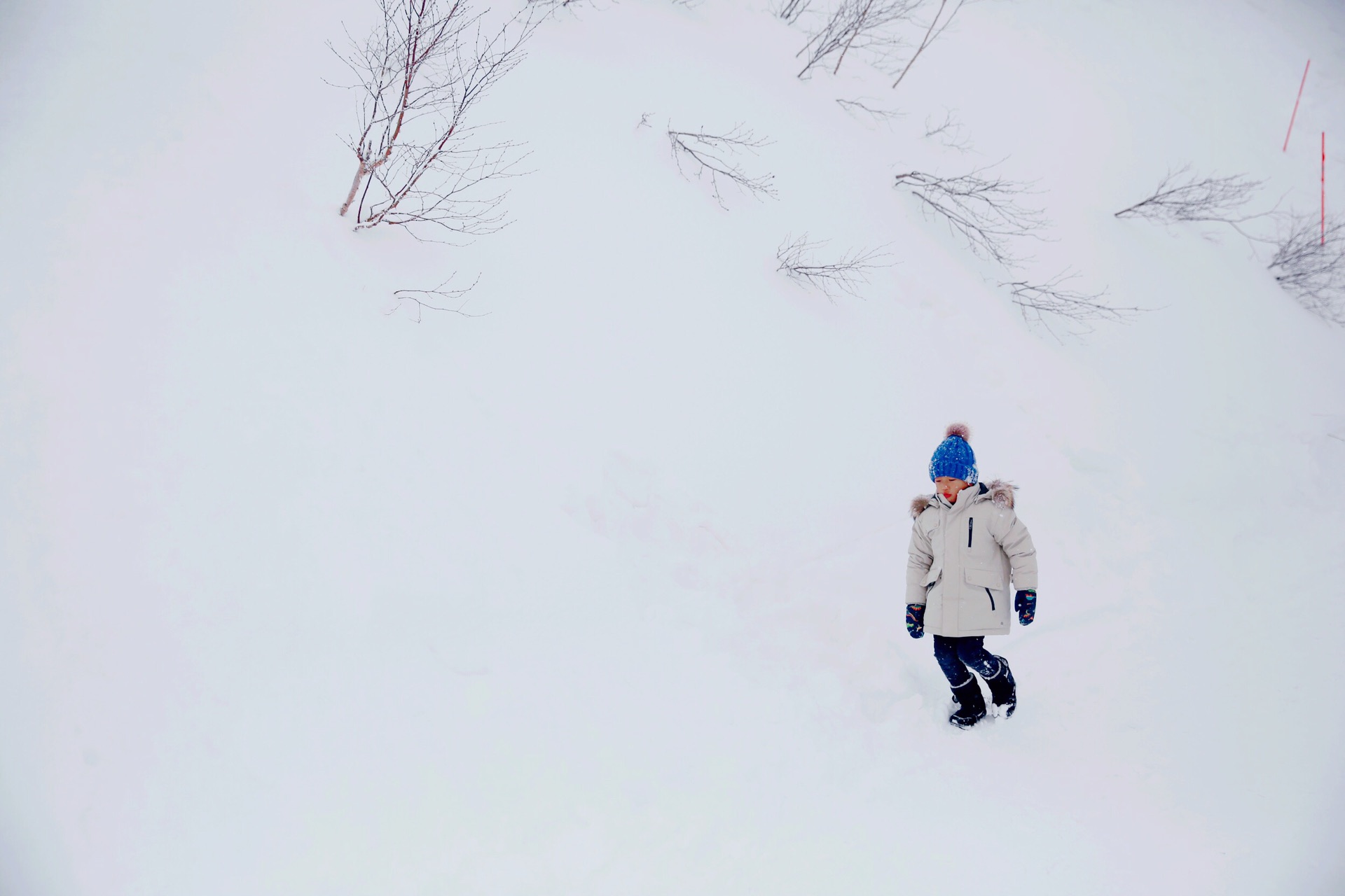 北海道自助遊攻略