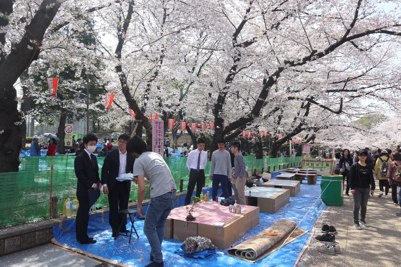 日本人赏樱花有什么习俗?去日本赏樱不得不知道的传统习俗