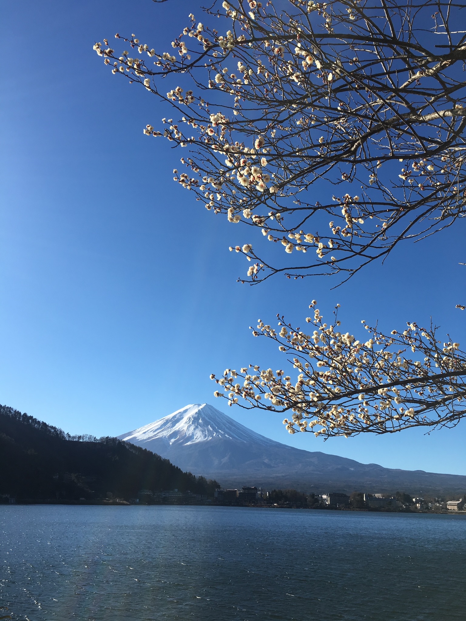 富士山自助遊攻略