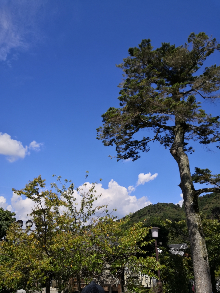 京都自助遊攻略