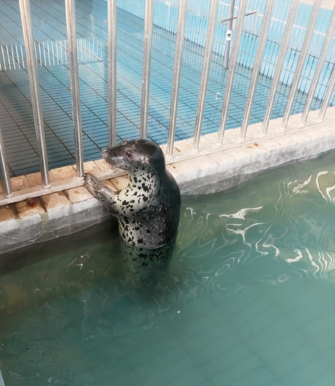 淄博有什么好玩的地方啊 wKgEaVynQ1GAb2L0ABa7cAmbArc97.jpeg?imageView2%2F2%2Fw%2F680%2Fq%2F90%7CimageMogr2%2Fstrip%2Fquality%2F90