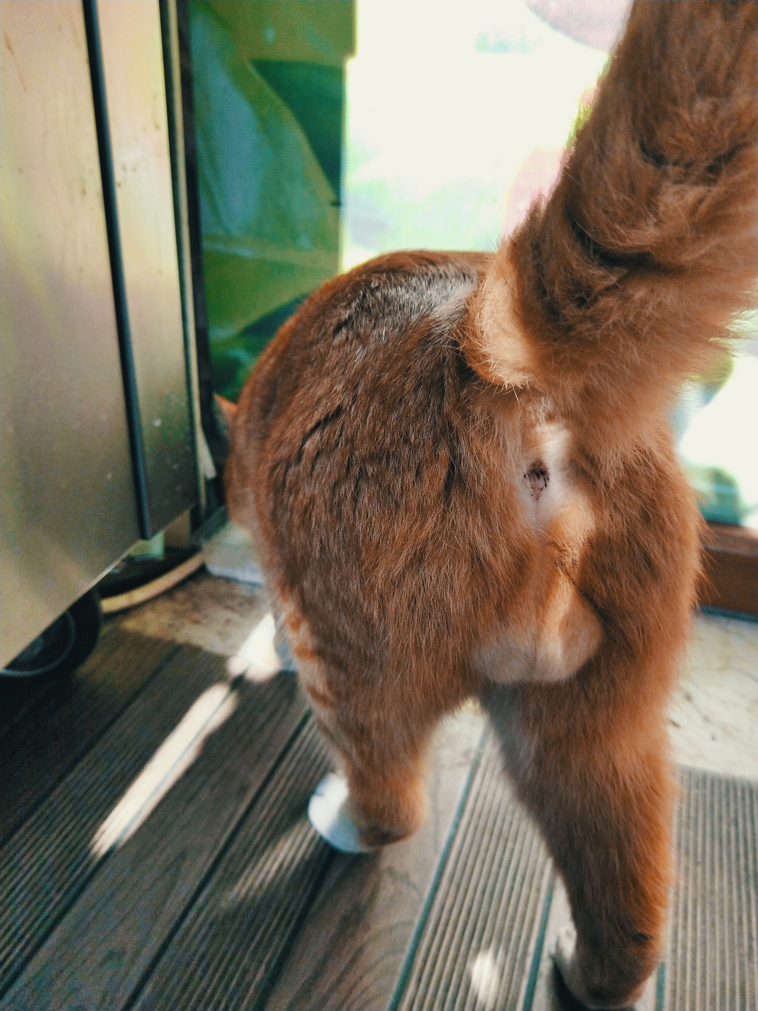 wKgEaVx-qWWAWnTwAAqCxK80dqg48.jpeg?imageView2%2F2%2Fw%2F680%2Fq%2F90%7CimageMogr2%2Fstrip%2Fquality%2F90