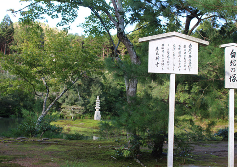 京都自助遊攻略