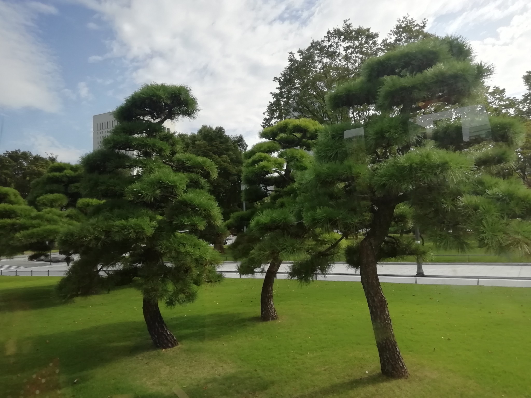 東京自助遊攻略