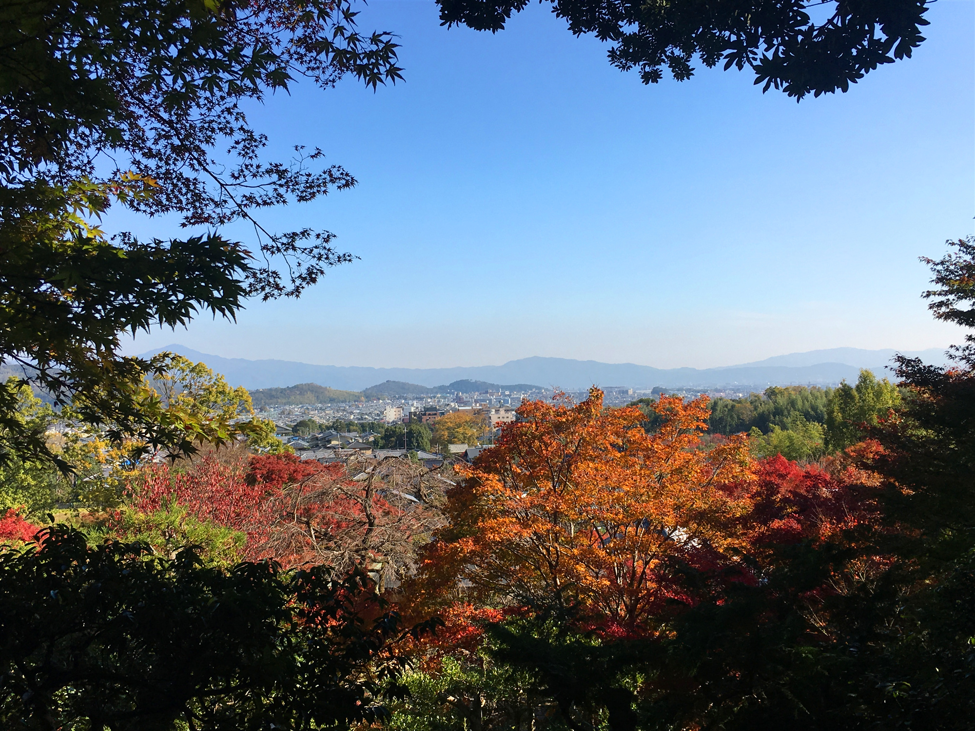 京都自助遊攻略