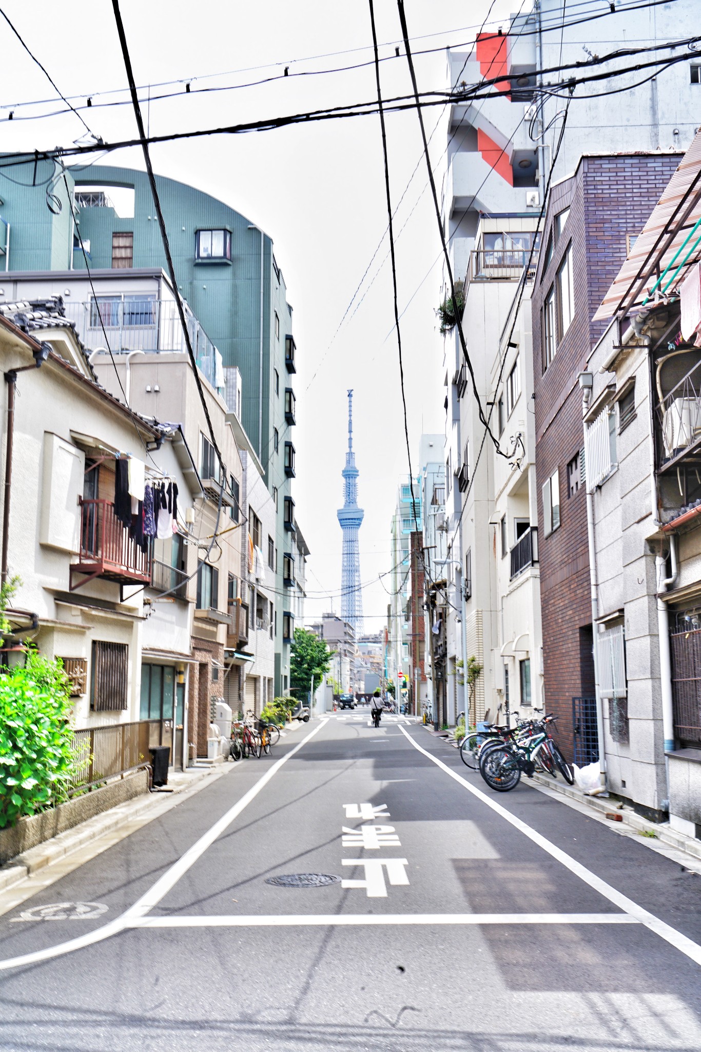 東京自助遊攻略