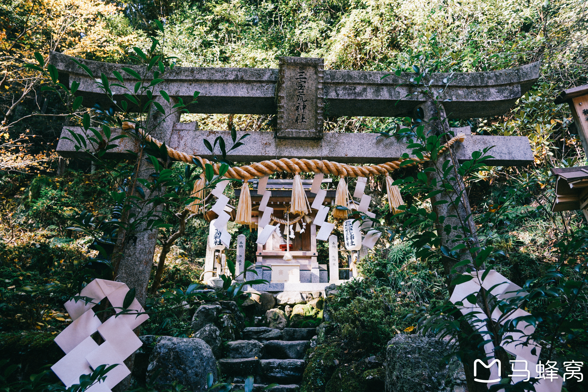 京都自助遊攻略