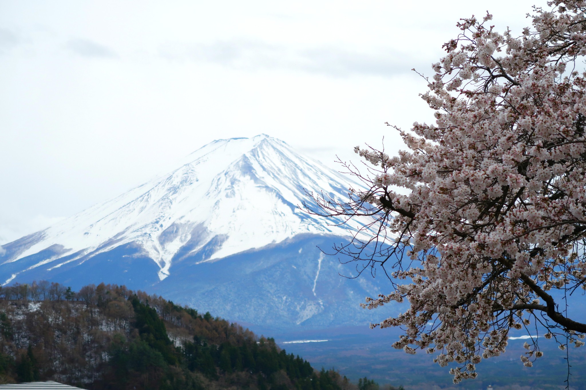 富士山自助遊攻略