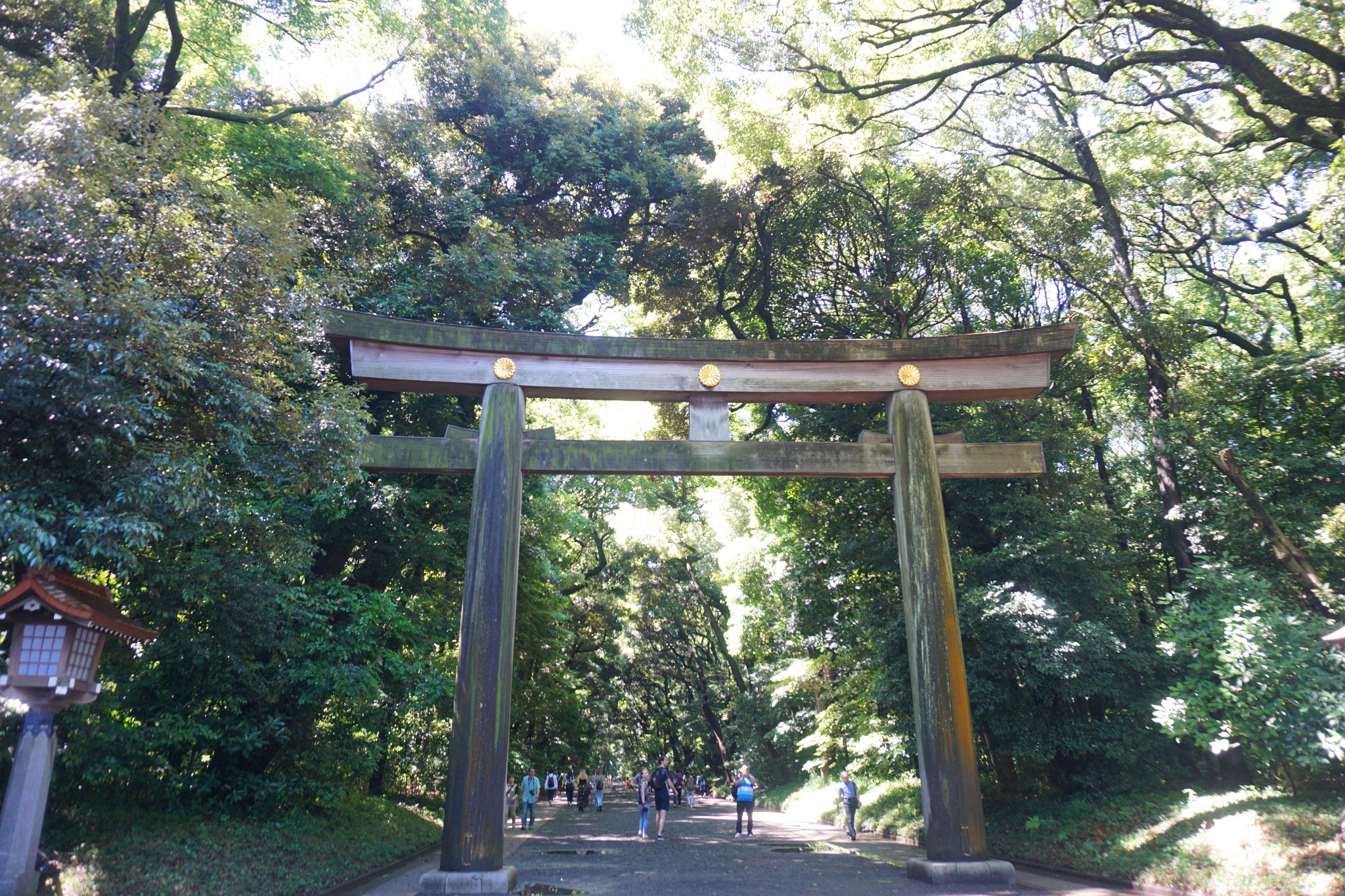 東京自助遊攻略