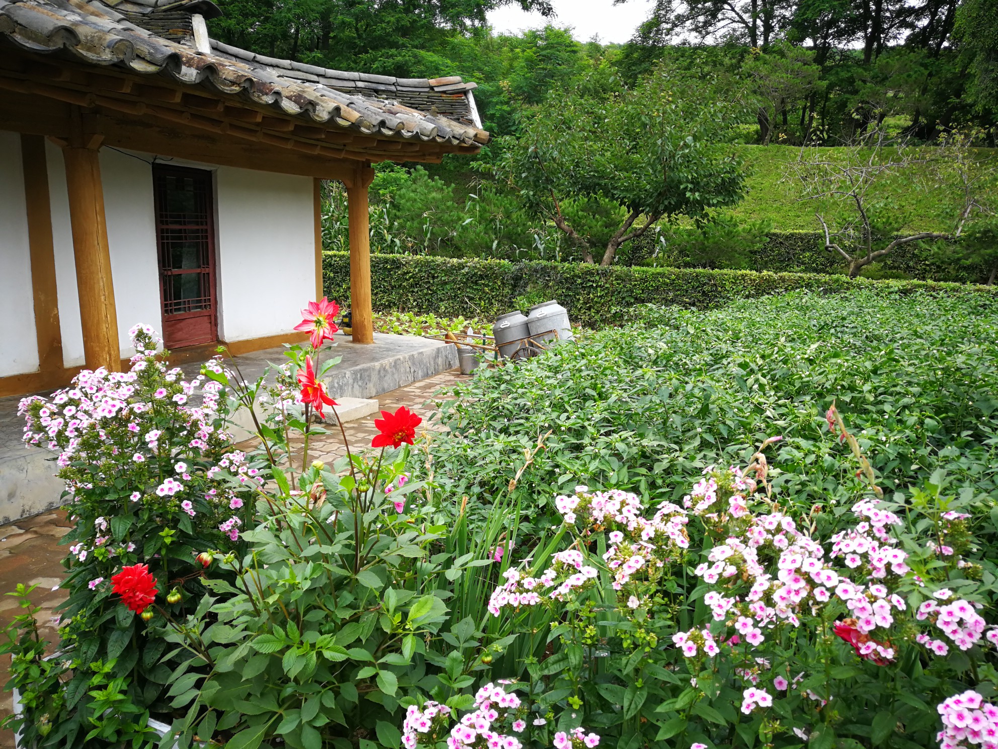 朝鮮自助遊攻略