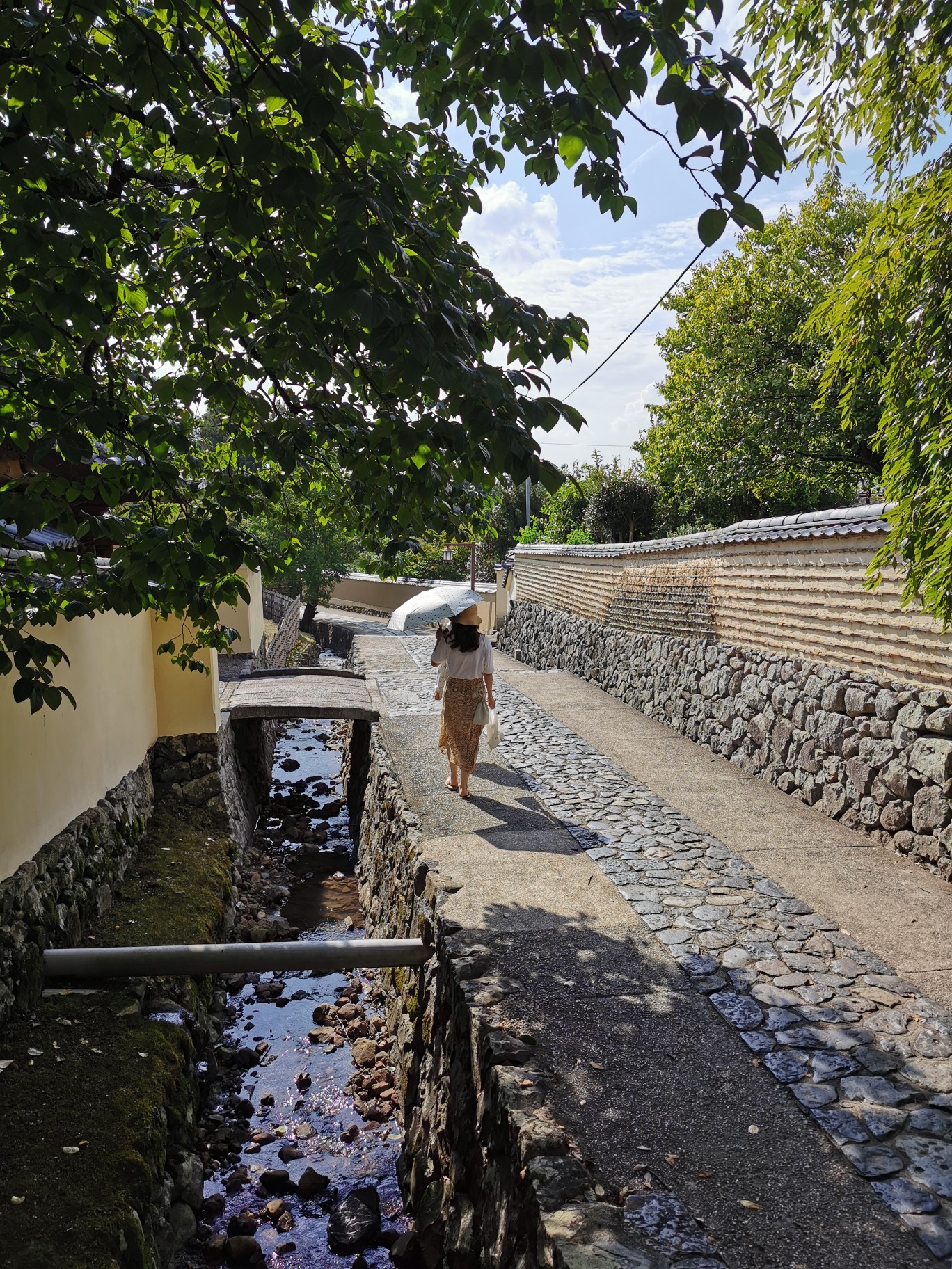 京都自助遊攻略