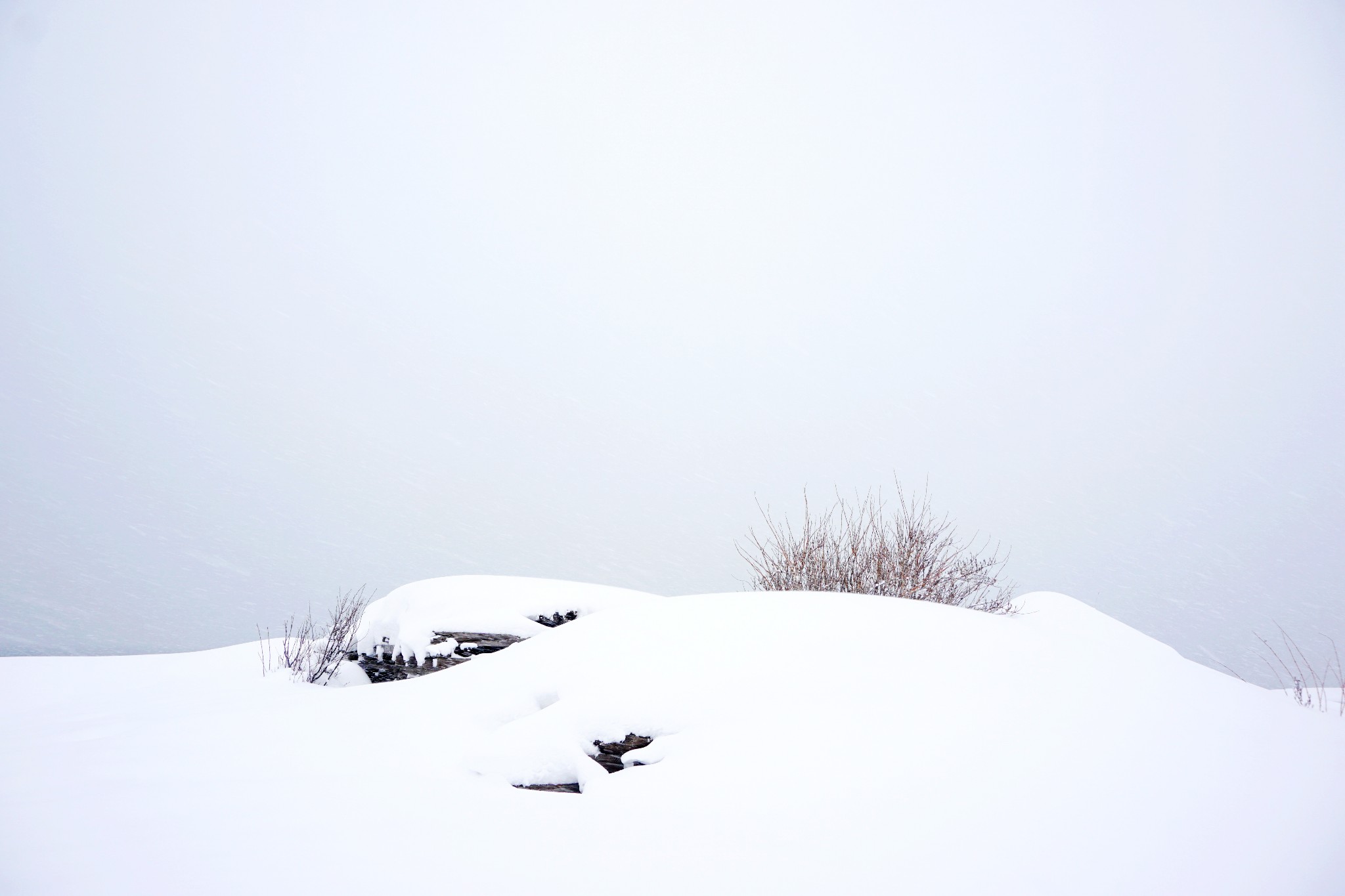 北海道自助遊攻略