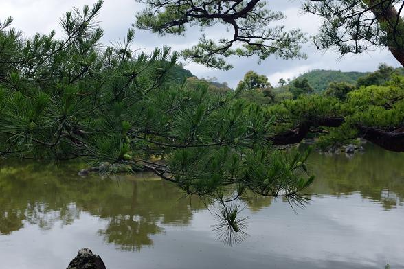 京都自助遊攻略