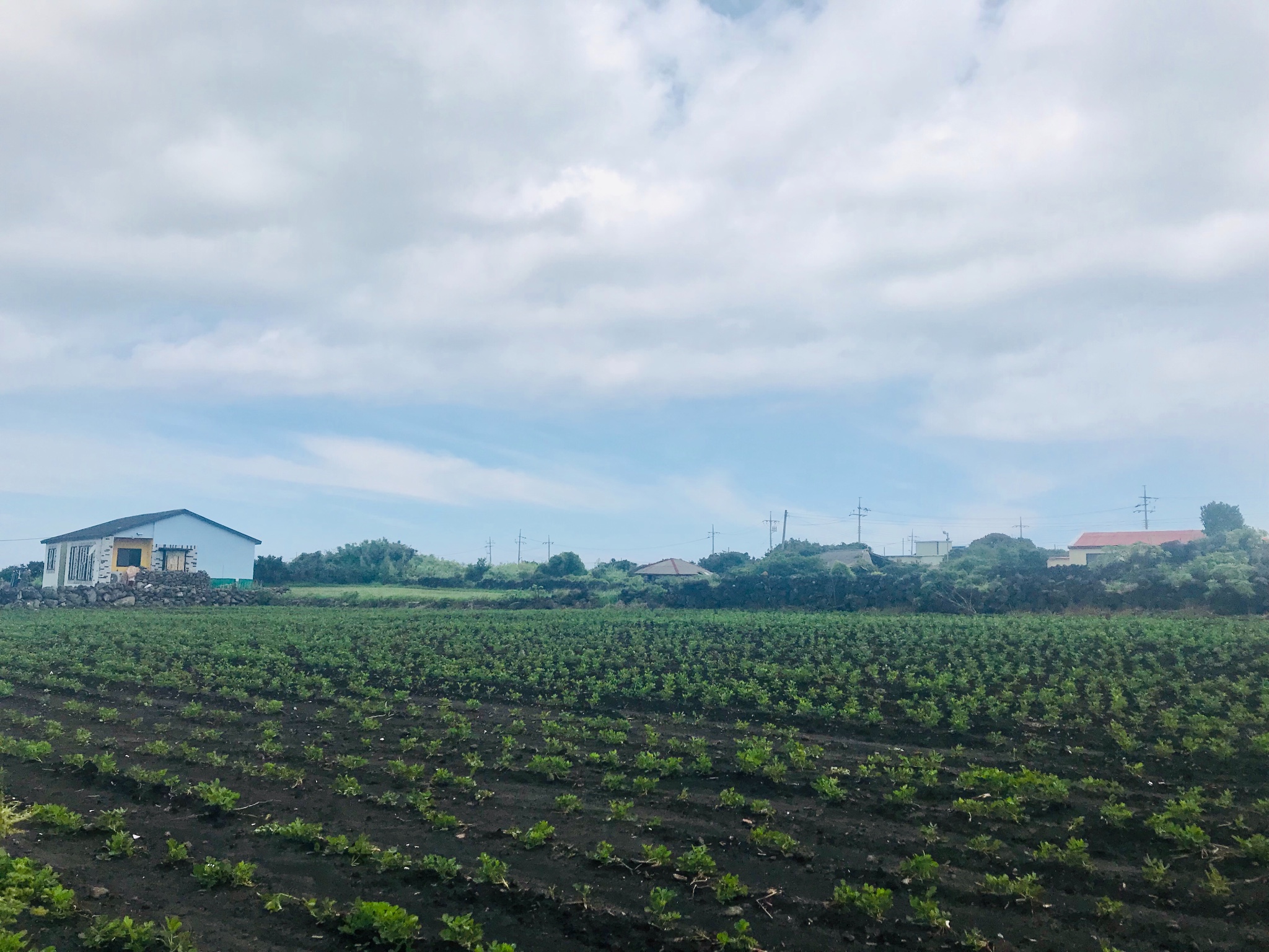 濟州島自助遊攻略