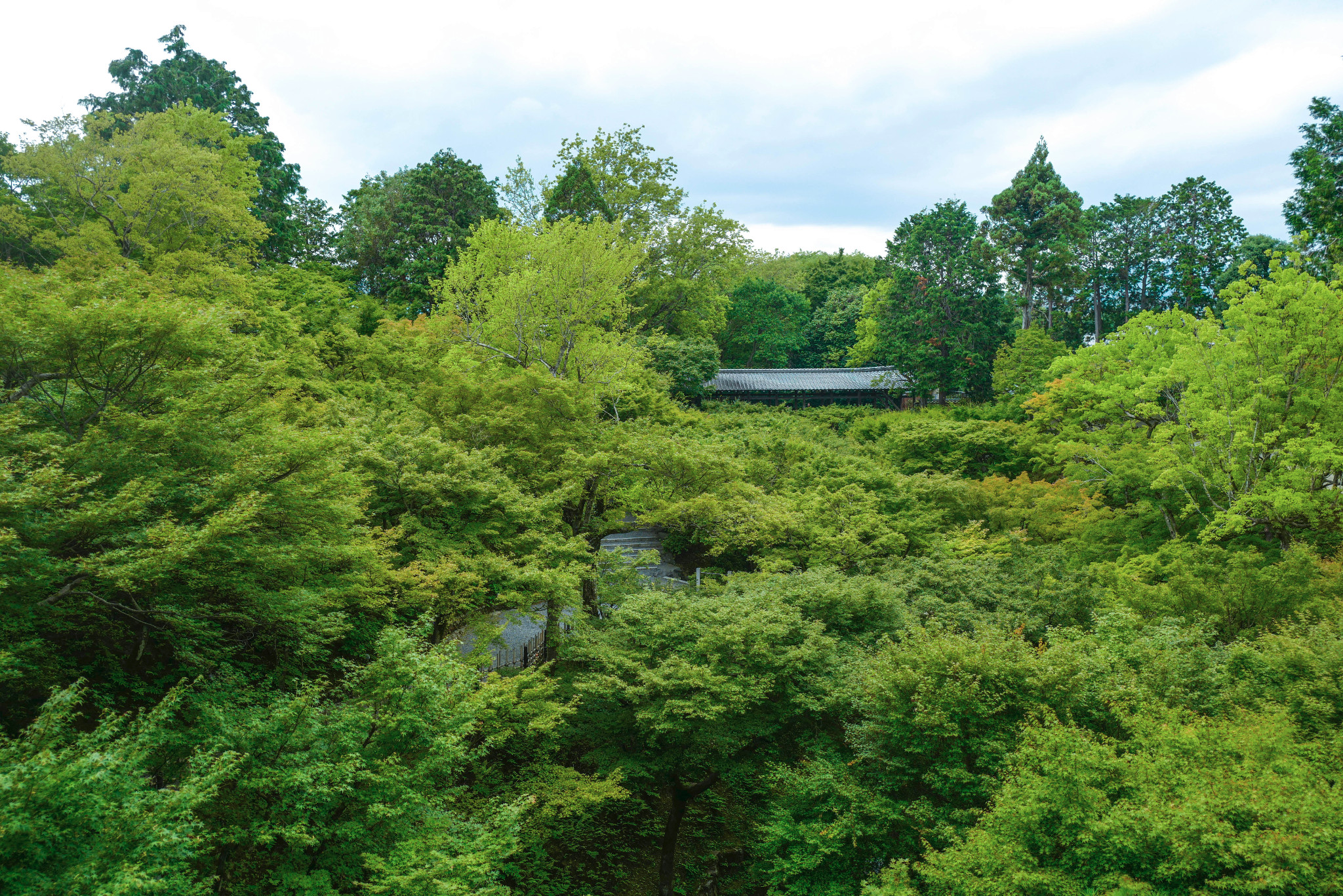 京都自助遊攻略