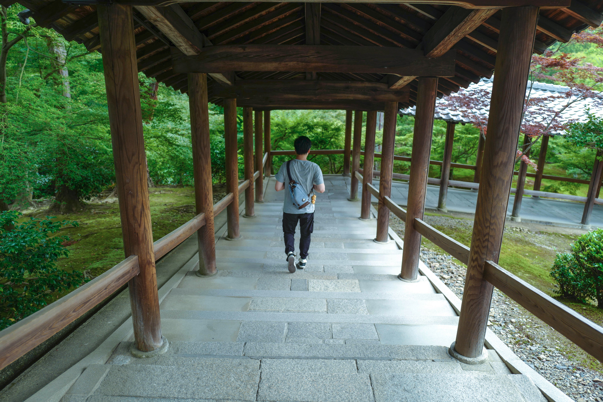 京都自助遊攻略