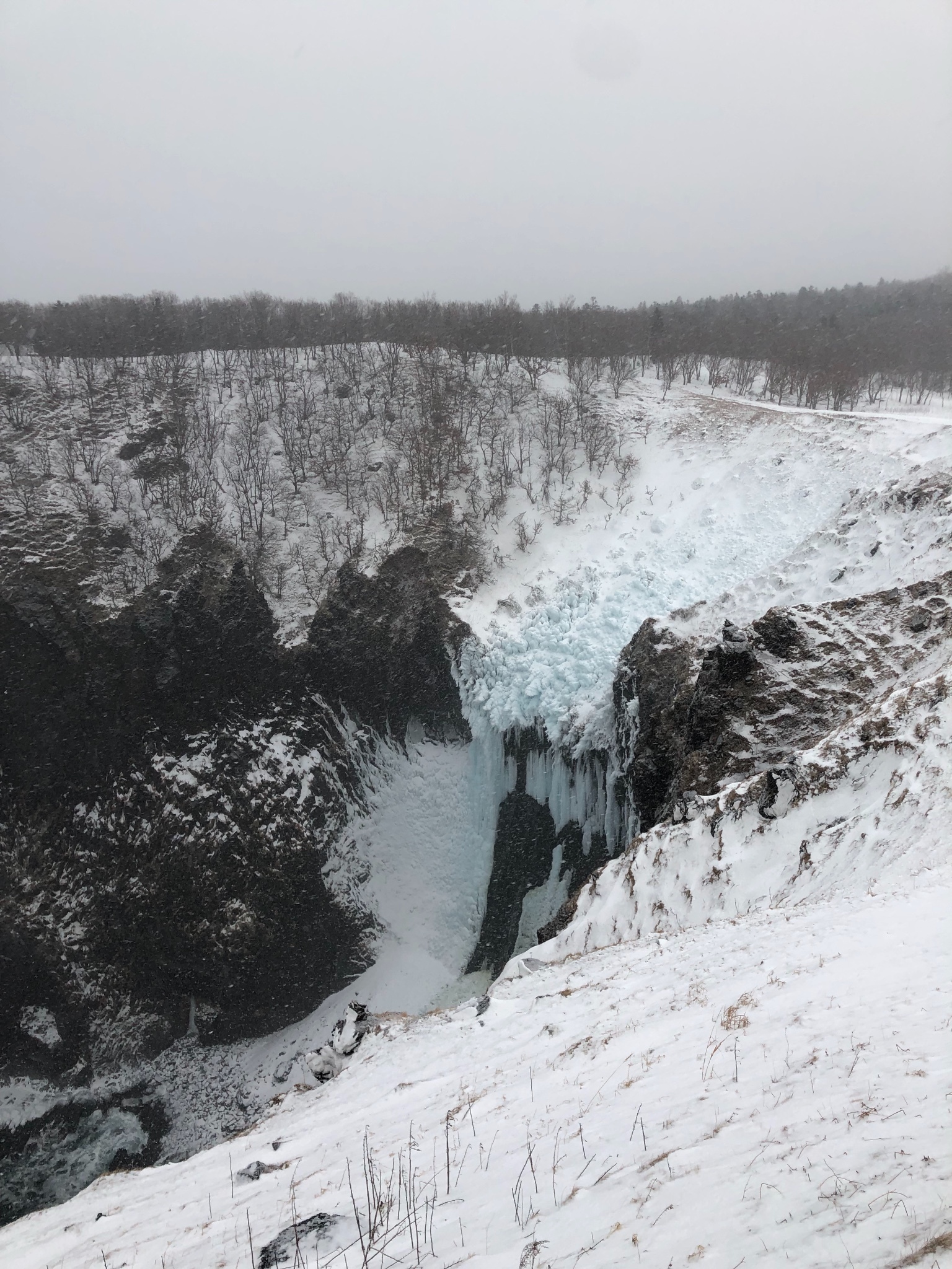 北海道自助遊攻略