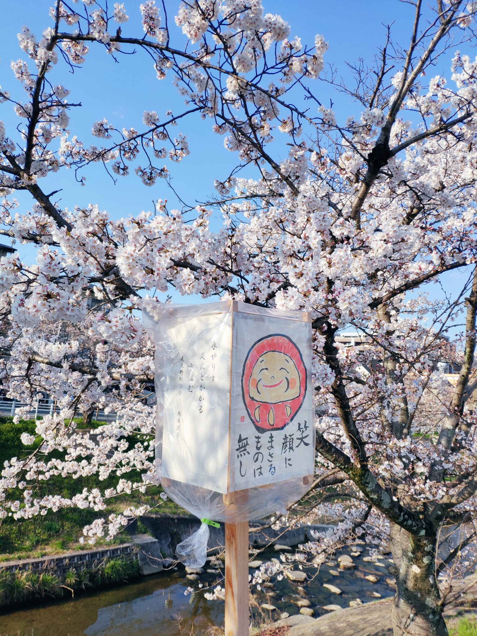 京都自助遊攻略