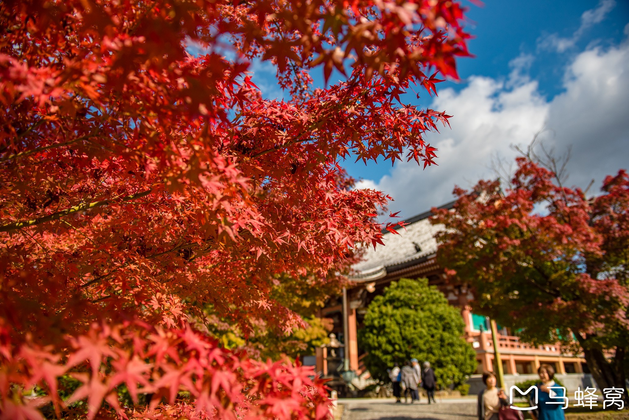 京都自助遊攻略