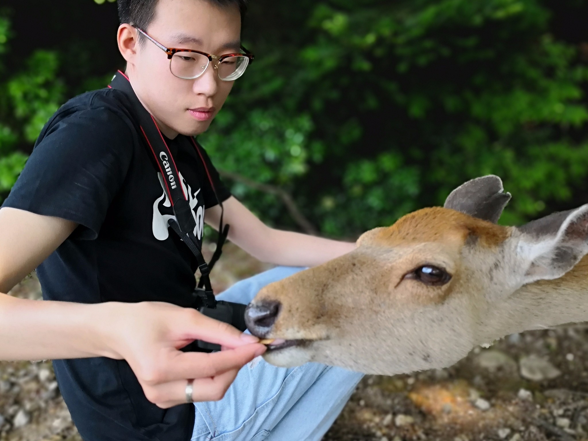 京都自助遊攻略