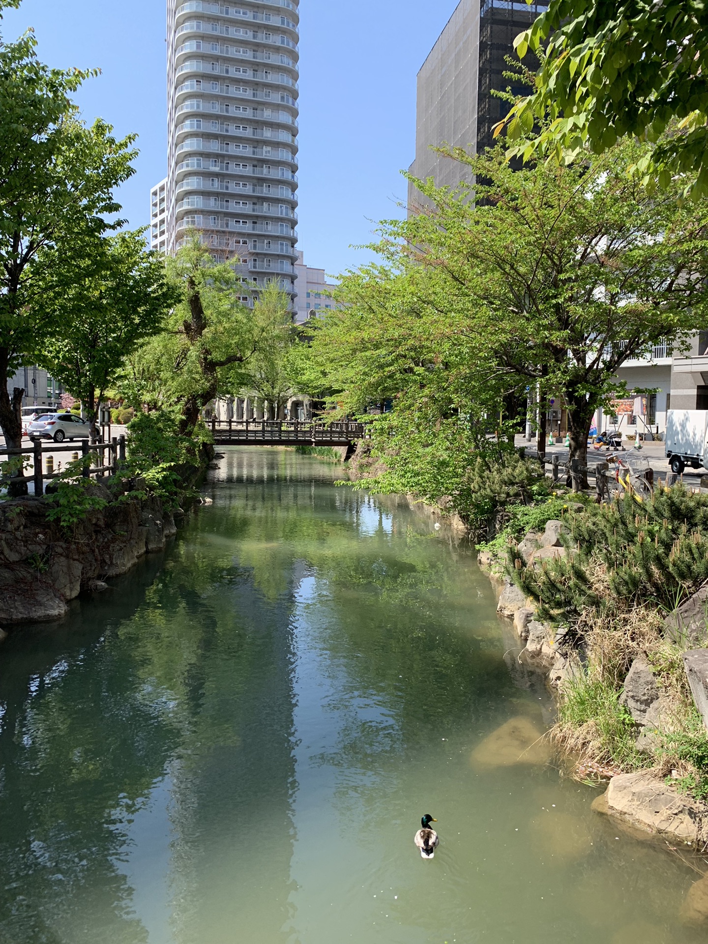 札幌自助遊攻略