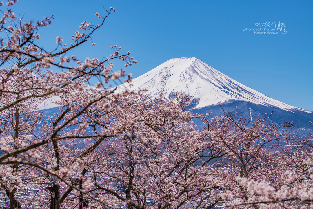 富士山自助遊攻略