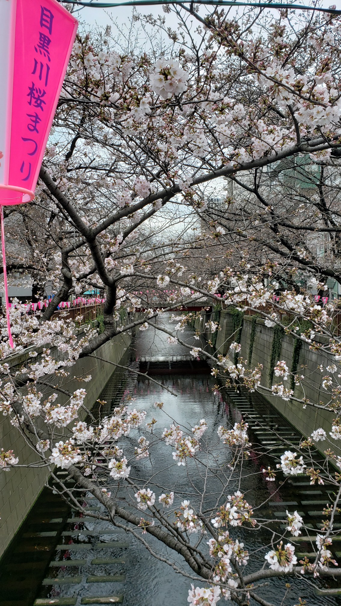 東京自助遊攻略